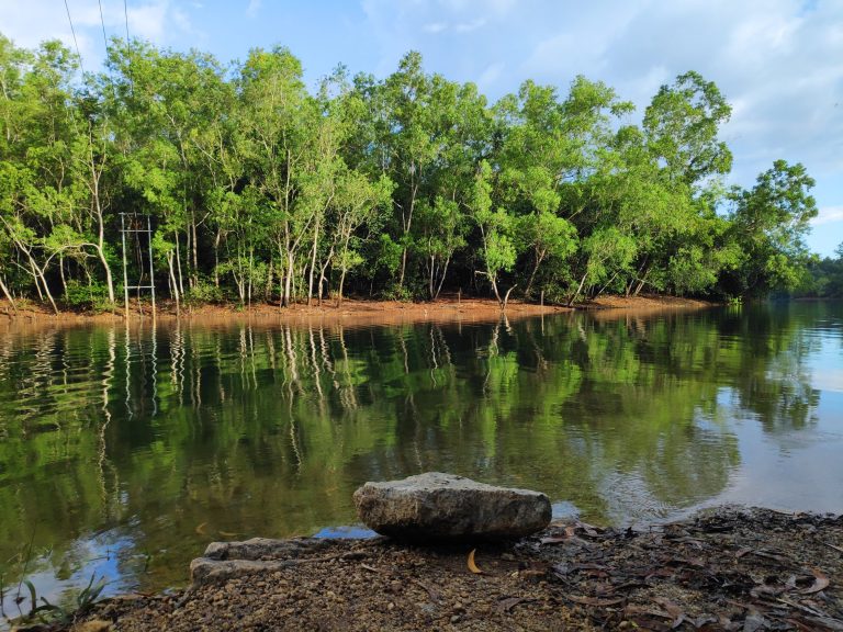 Reflections of forest in the water and rocks on the river banks.