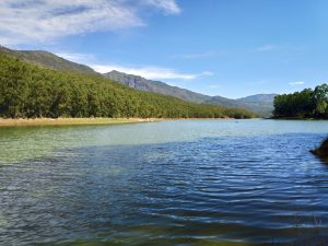 A tranquil lake embraced by scenic hills and lush forests.