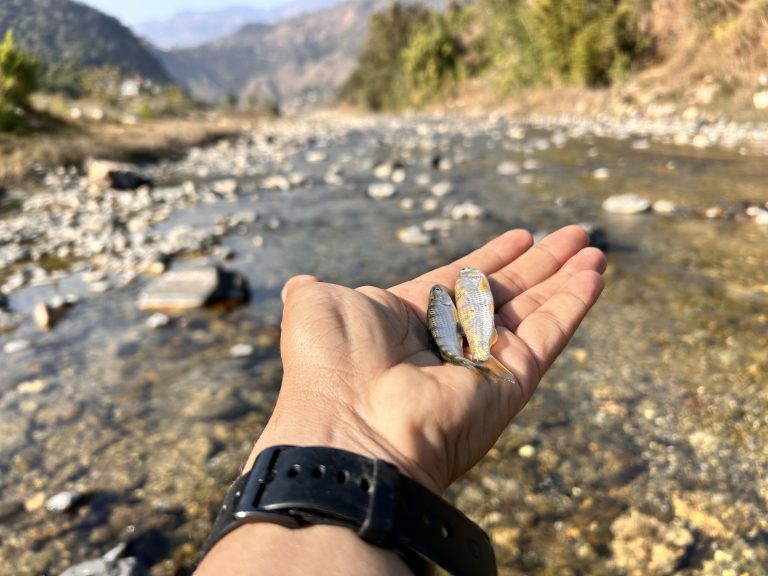 Two tiny local fish held in hand with the river in the background.