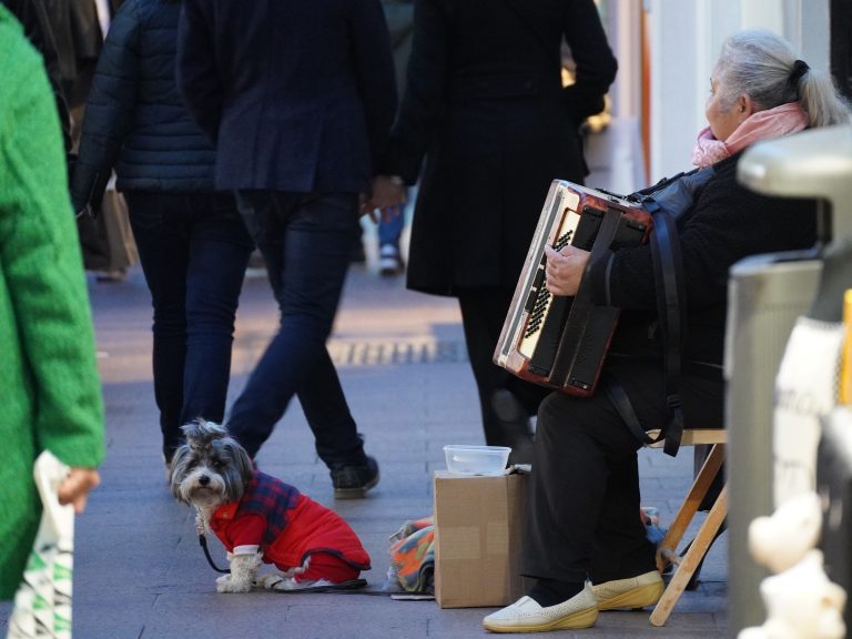 Small dog on a red coat looking at you with sad eyes.