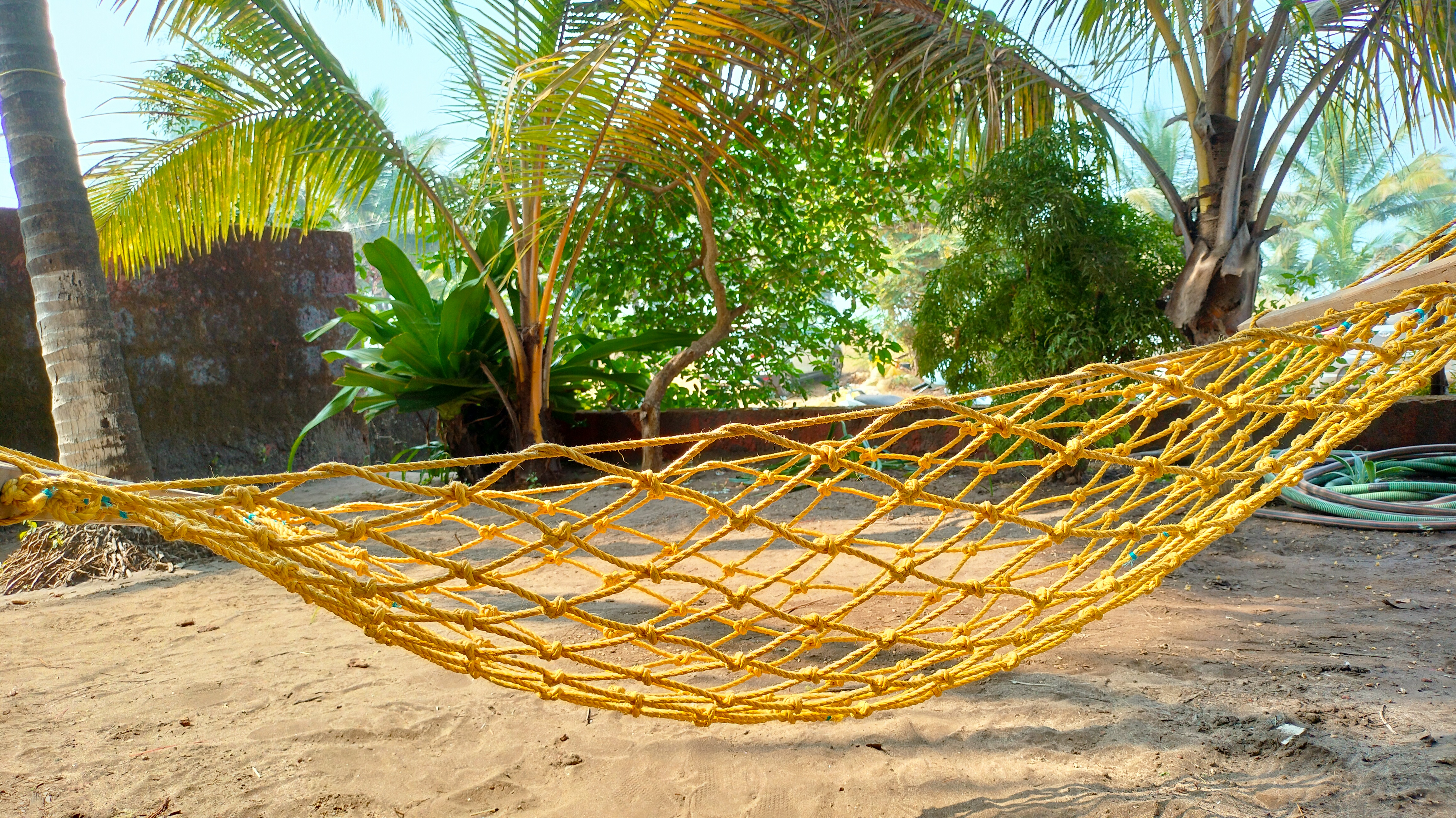 Beach cradle under coconut tree with tree & wall in background