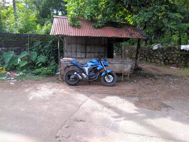 Blue motorcycle is parked in front of a small shed, surrounded by trees and plants in the background.