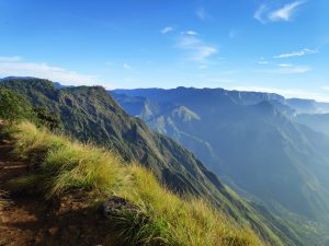 Mountains in the morning sunlight with greenery and some grass in foreground