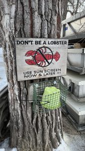 Tree trunk with ice and stacked up lake deck segments surrounding it with a wooden sign screwed to it with a lobster with a circle cross through it and the text “Don’t be a lobster, use sun screen now & later !!!” (Camp Anokijig, Elkhart Lake, Wisconsin)
