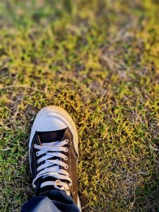 A converse shoe in black and white color featuring white lace.