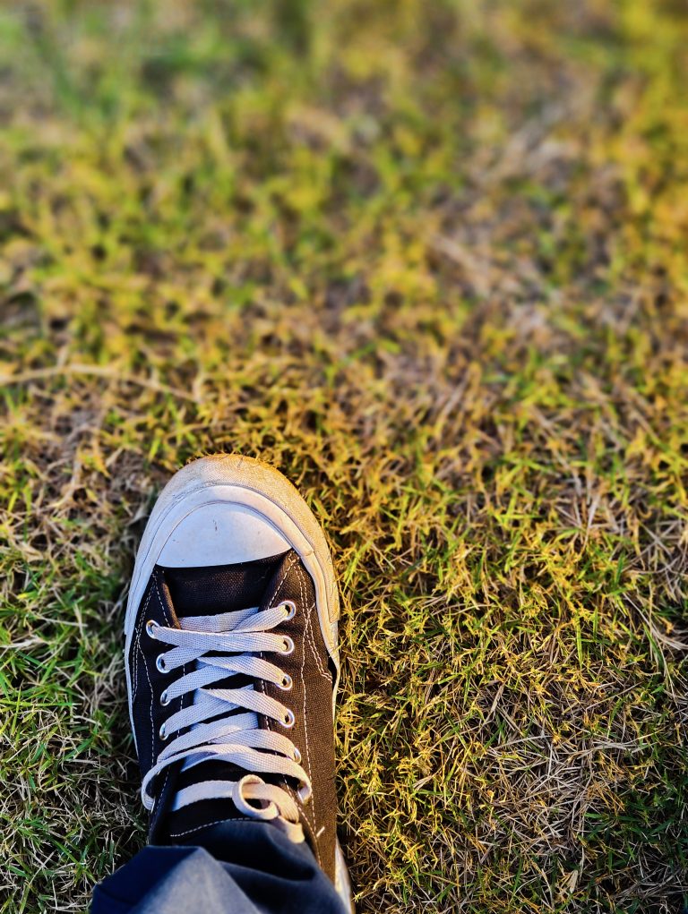 A converse shoe in black and white color featuring white lace.