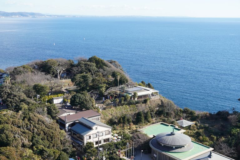 Houses nestled amidst both the jungle and the sea.