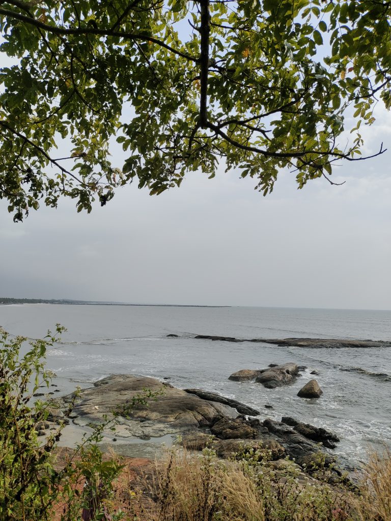 View of the Beach.