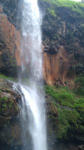 Rautwadi waterfall in monsoon: A majestic cascade of water amidst lush greenery, surrounded by mist and vibrant flora.
