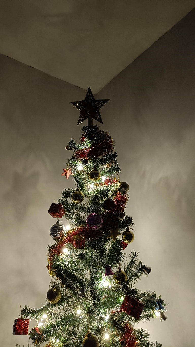 An illuminated christmas tree with hanging ornaments and a star on top.