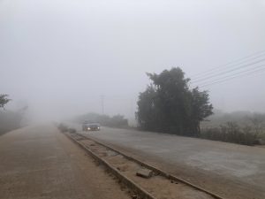 A car approaching down a road covered with fog