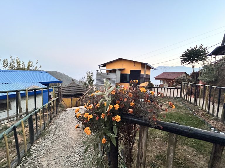 Marigolds in bloom in a colourful hilltop settlement, edged with branch fencing, trees and plant. Suspended cables run overhead and a mountain is visible on the horizon.