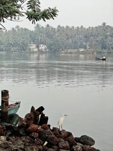 Egret standing by a tranquil river with coconut trees, a boat, and a hazy sky in a serene setting.