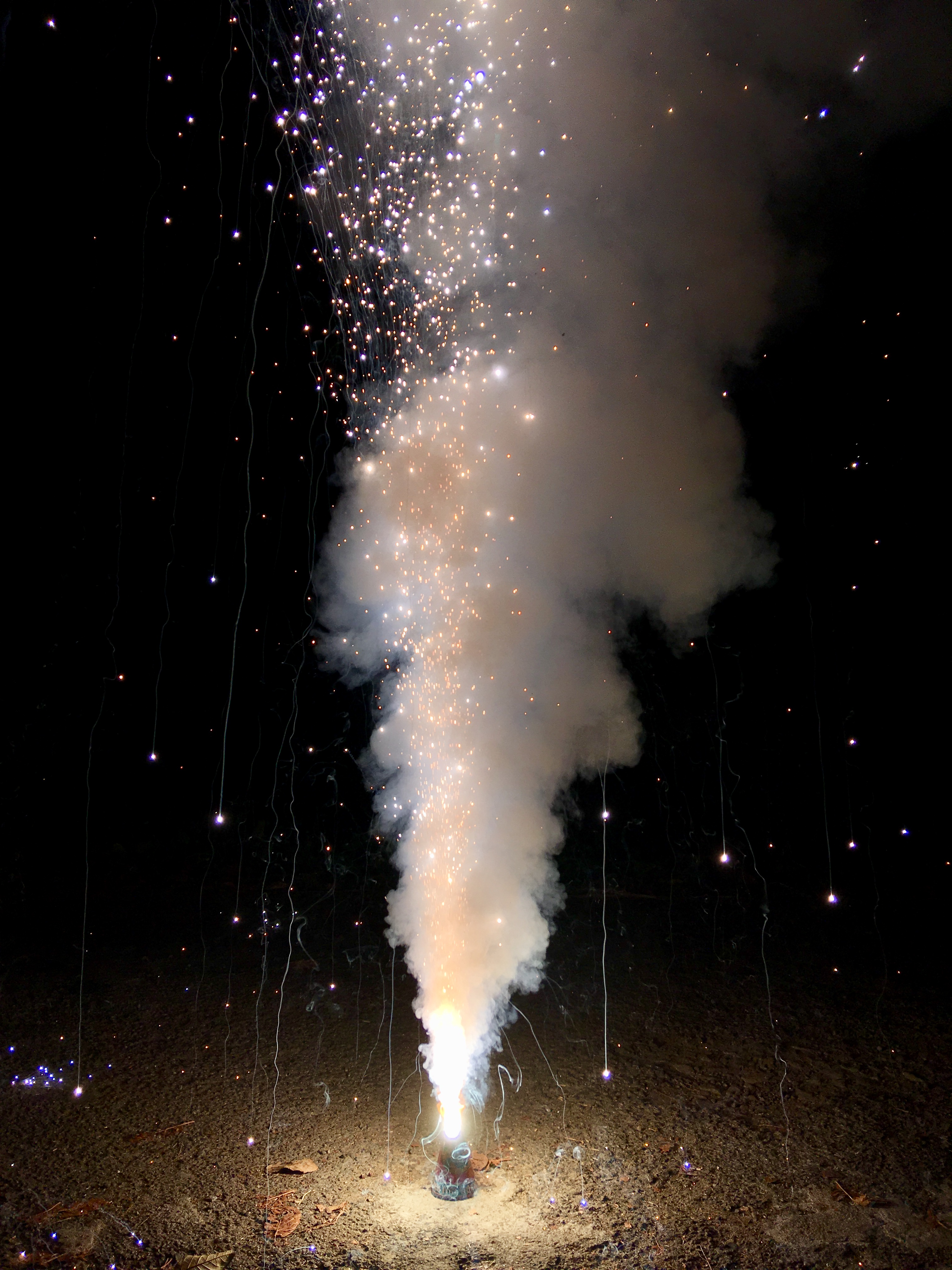 Vishu - The festival of Fireworks