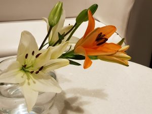 White and orange Lilies open in a vase of water, stamens heavy with pollen and shiny green buds ready to burst open.
