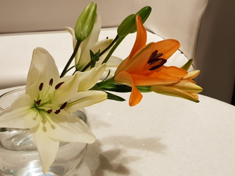 White and orange Lilies open in a vase of water, stamens heavy with pollen and shiny green buds ready to burst open.