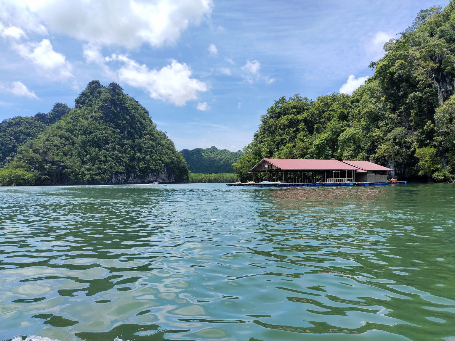 A boat floating on top of a lake next to a forest