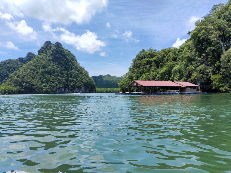 A boat floating on top of a lake next to a forest