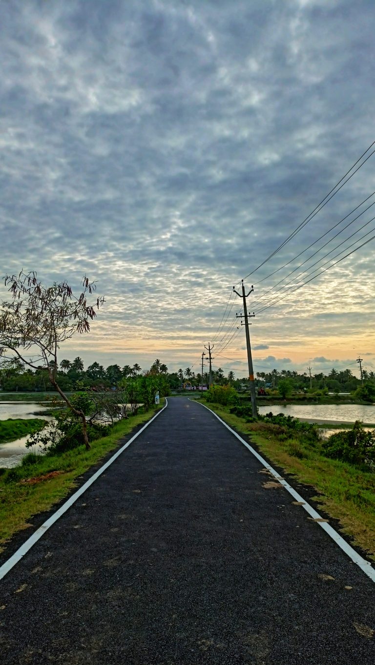 A road leading to some destination with water and plants around.