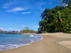 A serene tropical beach with lush greenery, clear blue skies, and volcanic rock formations along the coastline. Isla del Caño Costa Rica
