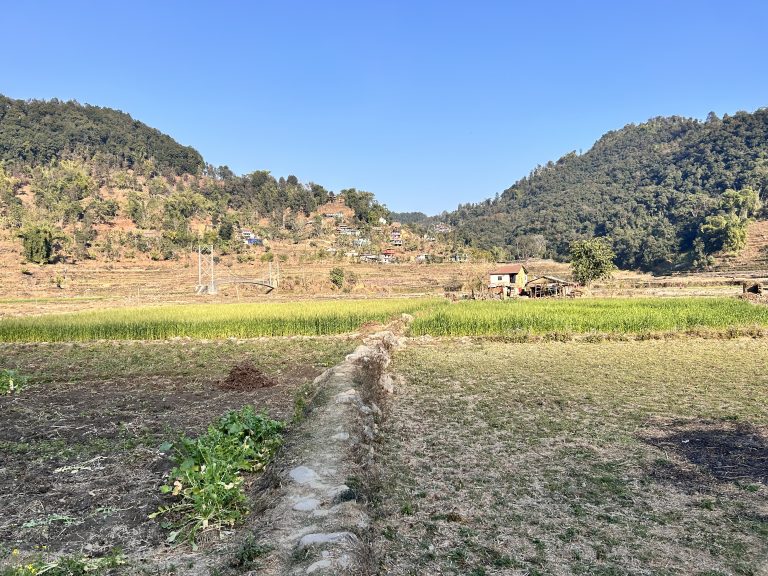 A traditional Nepali house in the middle of a field and mountains in the background.