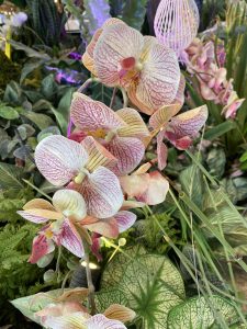 View larger photo: A bunch of flowers that are in a vase