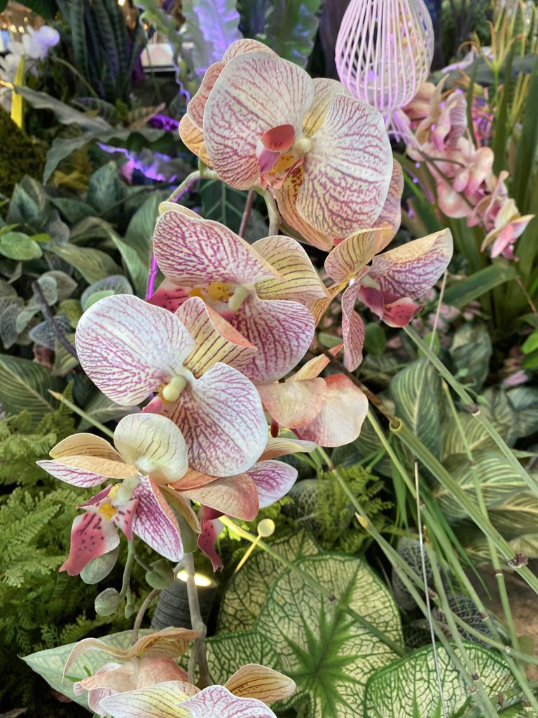 A bunch of flowers that are in a vase