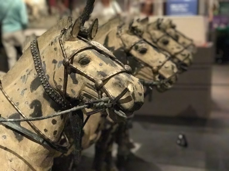 A row of horse statues as part of the Terracotta Warrior statue of the First Emperor of China exhibit at the Pacific Science Center in Seattle, Washington in 2017.