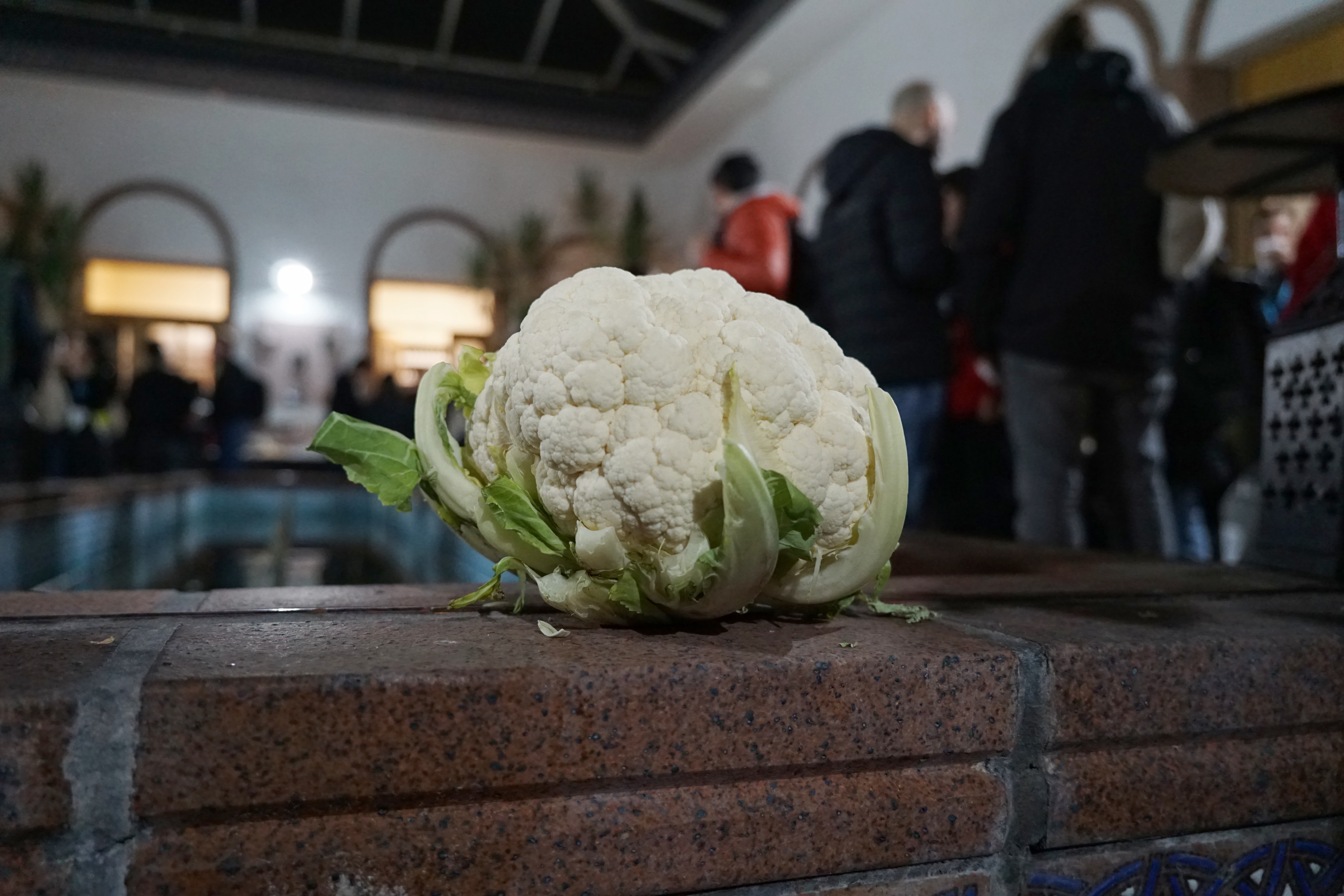 Cauliflower. Mascot is WordCamp Gri?ón.