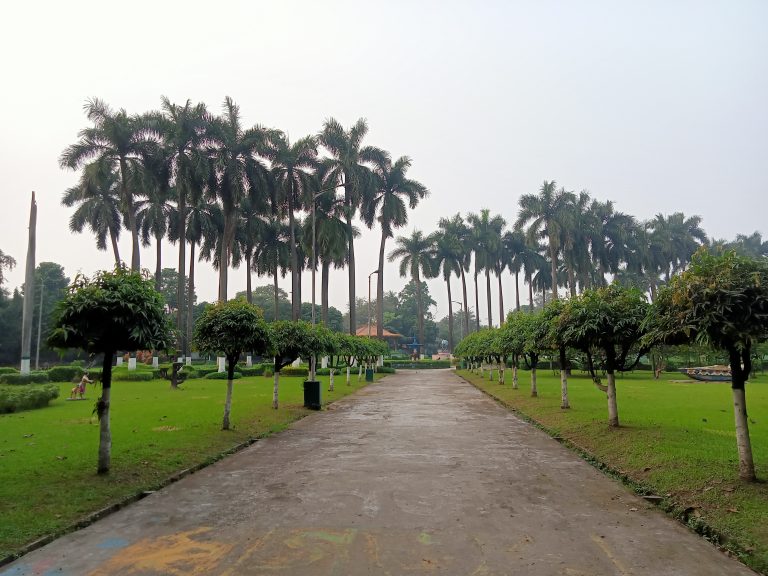 Walkway in the park with trees and lawns on both sides. Eden Gardens Park in Kolkata, West Bengal, India.