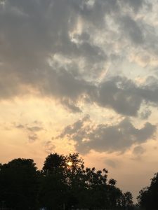 Colorful sunset clouds behind trees: Nature's canvas, a tranquil silhouette painted against the evening sky.