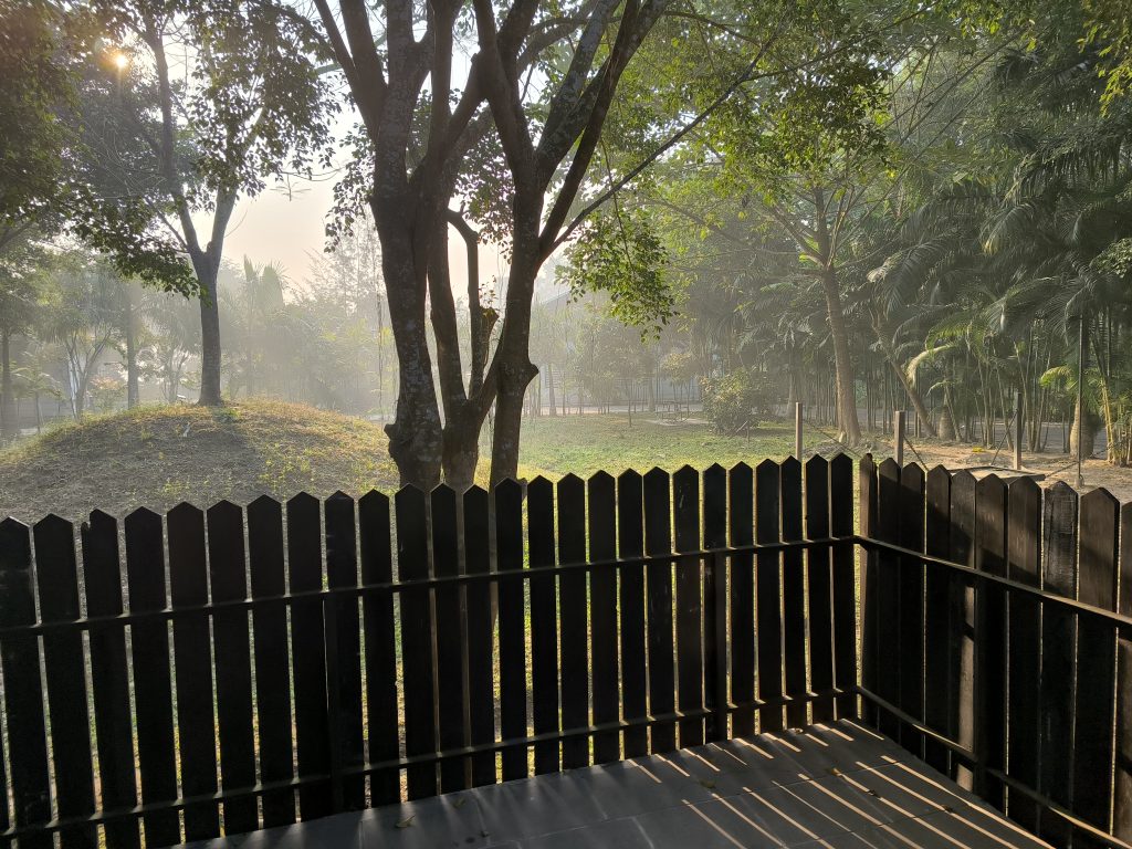 Sunshine through the trees behind a wooden fence