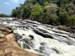 Water dances through the rocks in a forest waterfall, a symphony of nature's rhythm. Vazhachal Waterfalls, Kerala. 