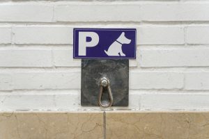 View larger photo: Hook for leaving dogs outside of a store with "dog parking" plaque 