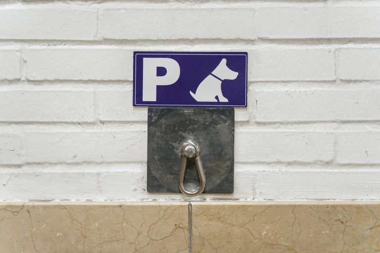 Hook for leaving dogs outside of a store with “dog parking” plaque