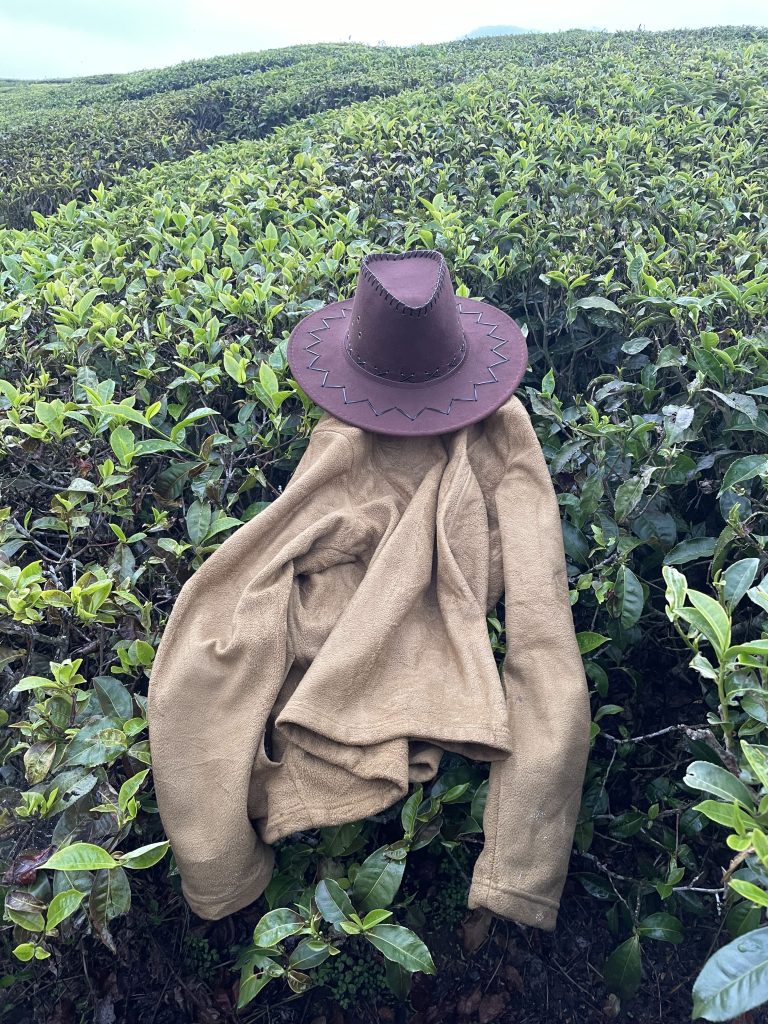 A hat and jacket placed on a bush within the tea plantations of Munnar.