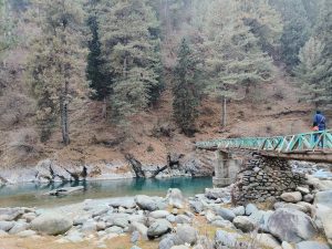 A man crossing a wooden bridge supported by stone pillar across the river that flowing along the valley of a mountain. with trees.