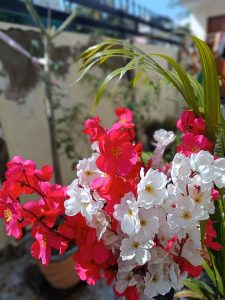 Red and White artificial flowers.