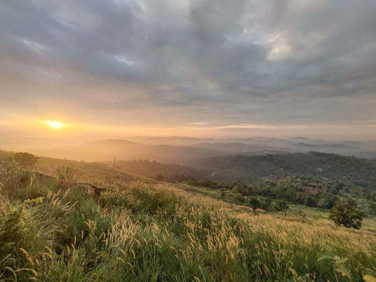 The break of dawn, sunrise over rolling hills with mist, golden sunlight, and a serene landscape of grass and trees.