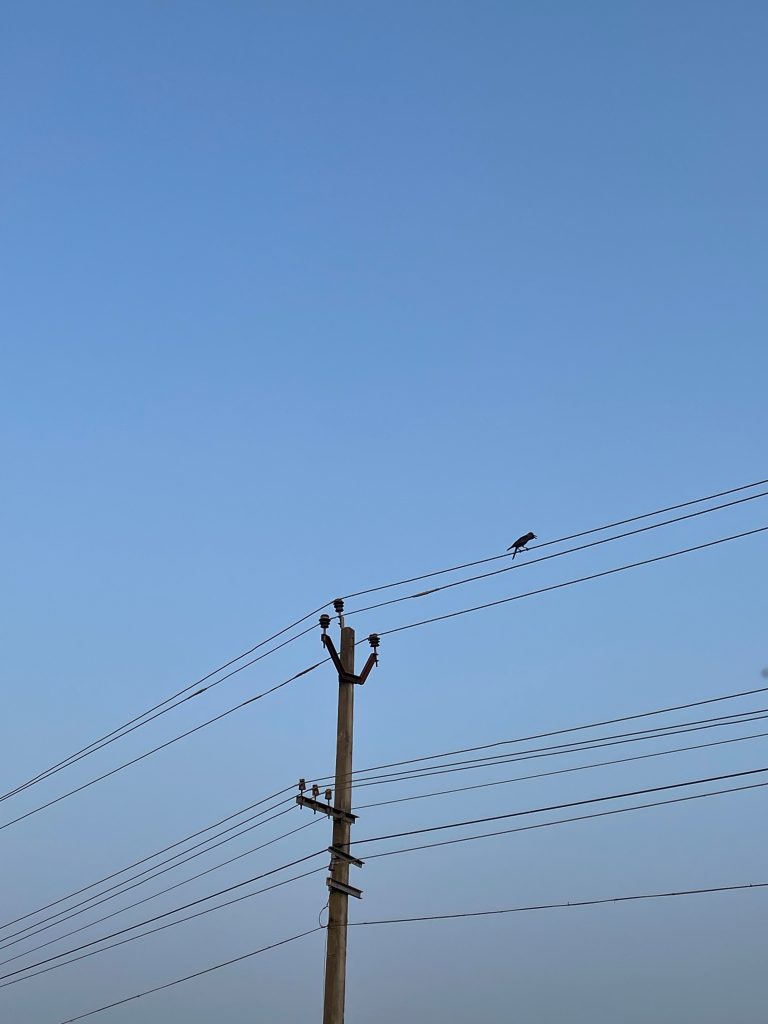 An electric post and a bird sitting on a power-line with clear blue sky in the background.