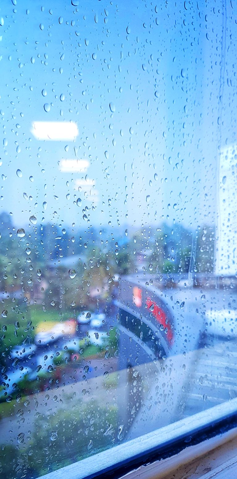 Raindrops on a window pane