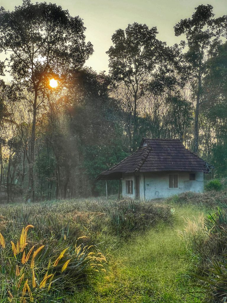 A small house in the middle of a grassy field during sunrise.