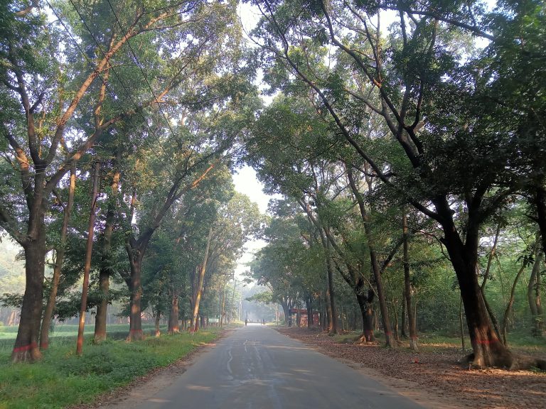 A road inside Jahangirnagar University, Savar, Dhaka, Bangladesh.