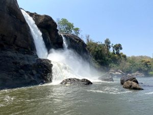 Water is flowing down from a rocky cliff with lush forest behind it, View of a beautiful waterfall.