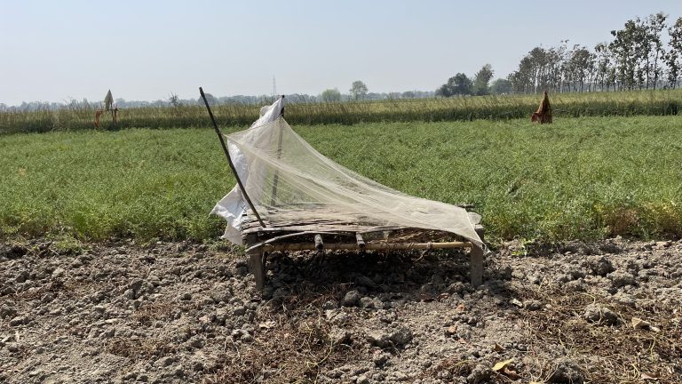 A rustic bamboo shelter draped with a net sits on a plowed field in Ballia, Uttar Pradesh, serving as a protective cover against animals amidst the rural farmlands.