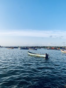 Fishing boats in the harbour with tree lines in the horizon on a clear sunny day with blue sky.