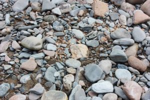 Rocks and pebbles scattered along the pathway.