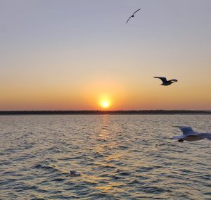 Sunset over the sea with birds flying overhead.