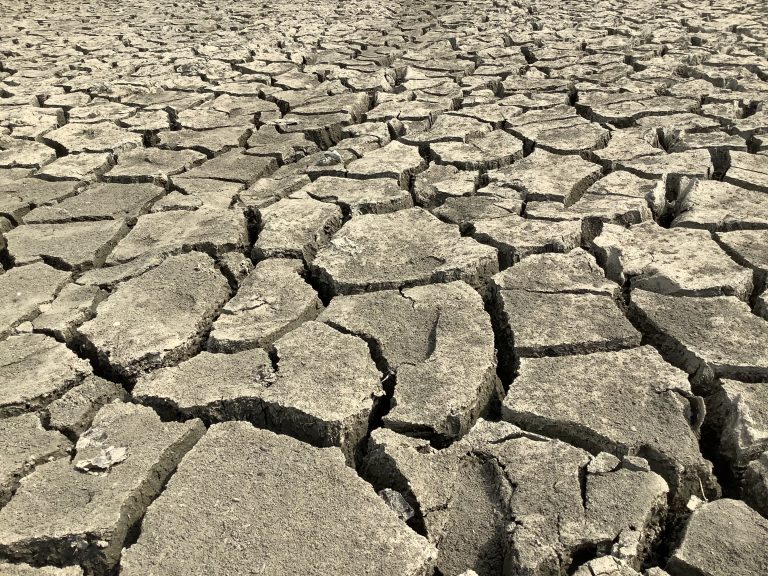 Seasonal dry lakebed in Ballia, Uttar Pradesh, with patterns of cracked soil, awaiting the return of water.