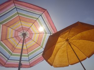 umbrellas in the sun
